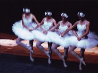 Image description
