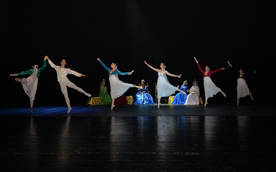 Kuğu Gölü - 2014