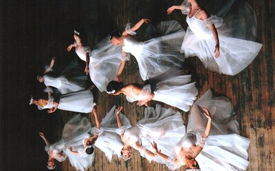 Les Sylphides - 2008